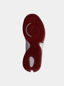 Кроссовки NIKE модель DD9304-600 Фото