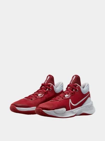Кроссовки NIKE модель DD9304-600 Фото