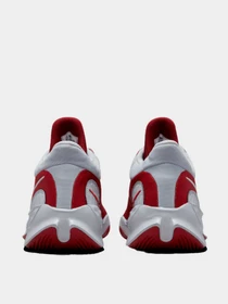 Кроссовки NIKE модель DD9304-600 Фото