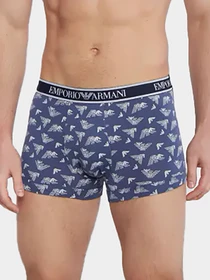 Нижнее белье Emporio Armani модель 111357-3F717-04937 Фото