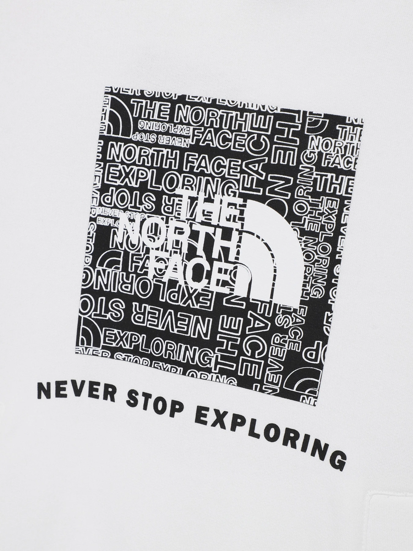 Худи и свитшоты The North Face модель NF0A855BLA91 Фото
