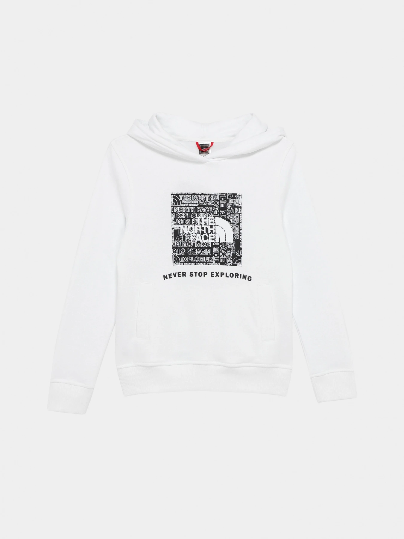 Худи и свитшоты The North Face модель NF0A855BLA91 Фото