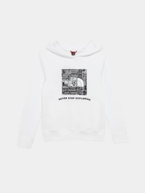 Худи и свитшоты The North Face модель NF0A855BLA91 Фото