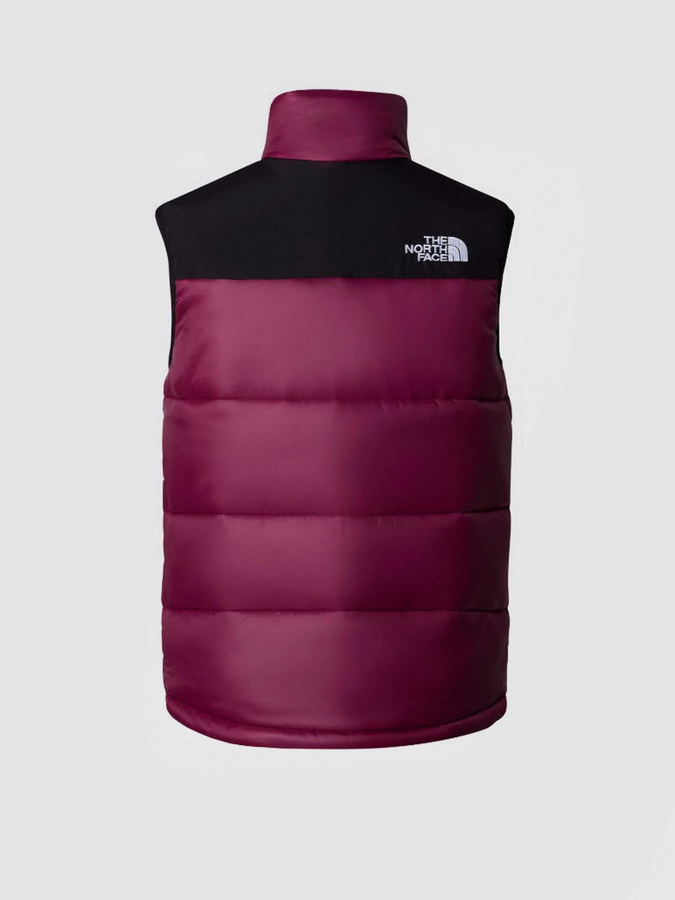 Куртки и дубленки The North Face модель NF0A4QZ4KK91 Куртки и дубленки The North Face модель NF0A4QZ4KK91 Фото