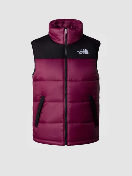 Куртки и дубленки The North Face модель NF0A4QZ4KK91 Фото