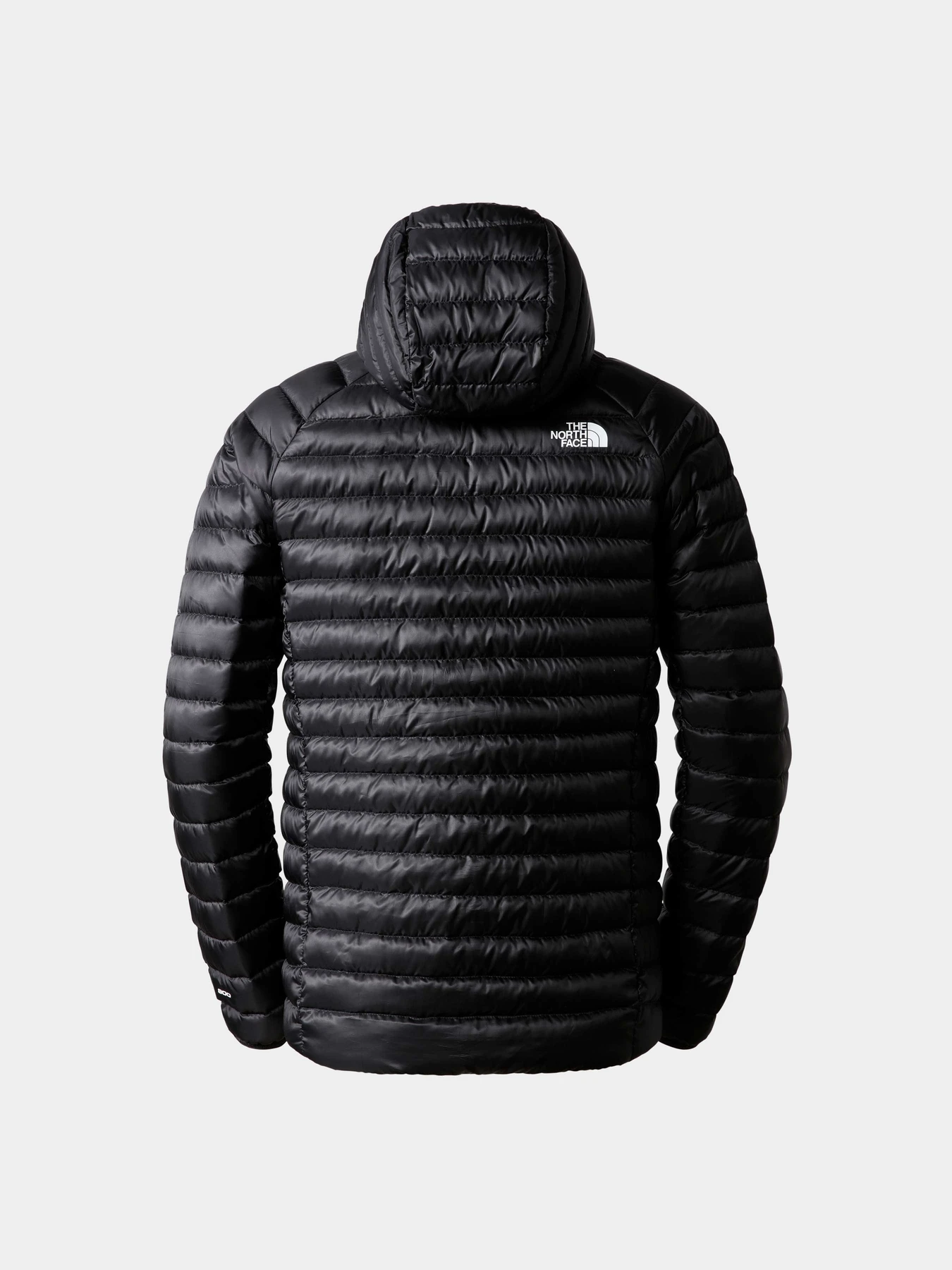 Куртки и дубленки The North Face модель NF0A7Z8FKX71 Куртки и дубленки The North Face модель NF0A7Z8FKX71 Фото