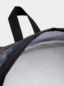 Рюкзаки JanSport модель EK0A5BAG6E41 Фото