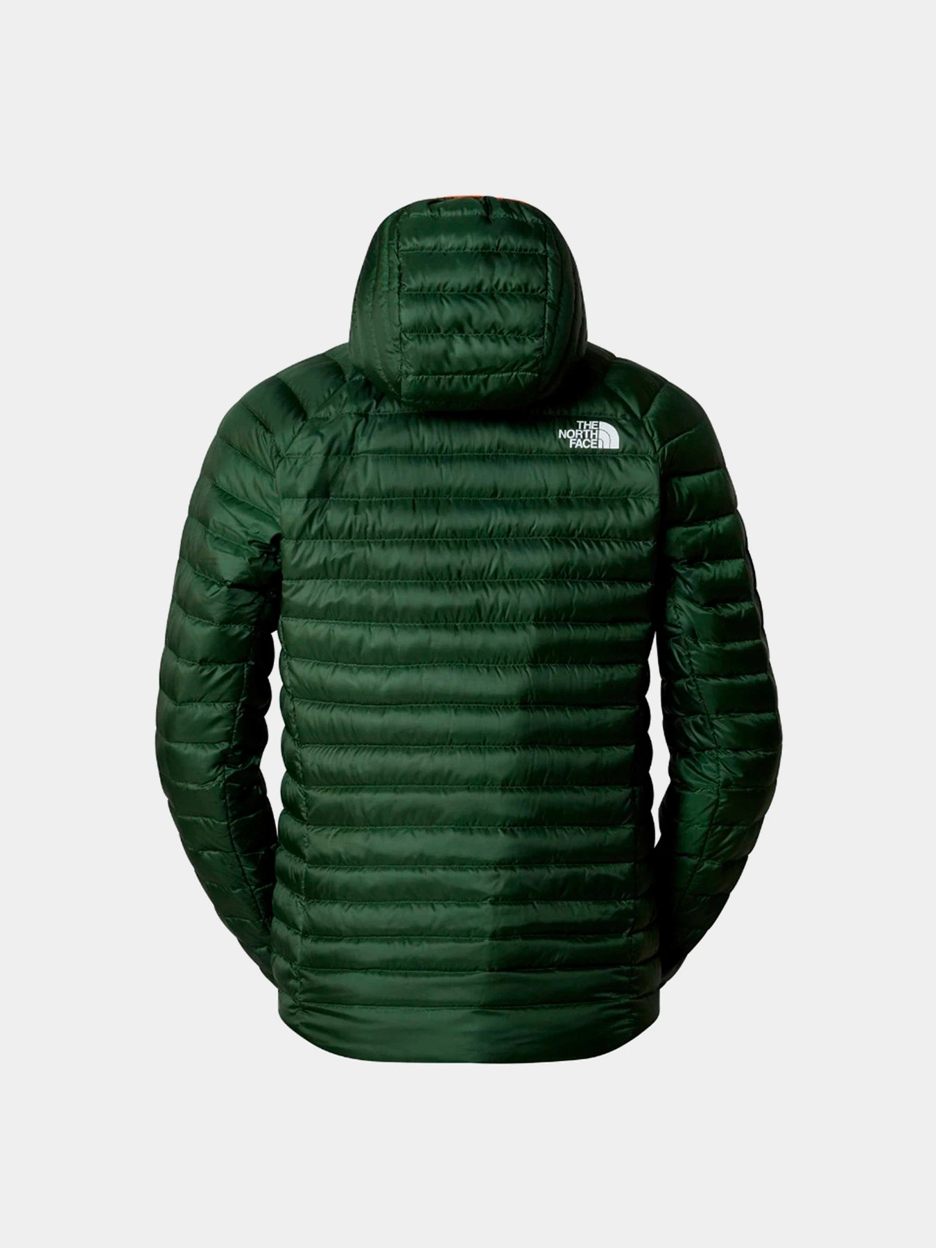 Куртки и дубленки The North Face модель NF0A7Z8FI0P1 Куртки и дубленки The North Face модель NF0A7Z8FI0P1 Фото