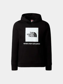 Худи и свитшоты The North Face модель NF0A855BJK31 Фото