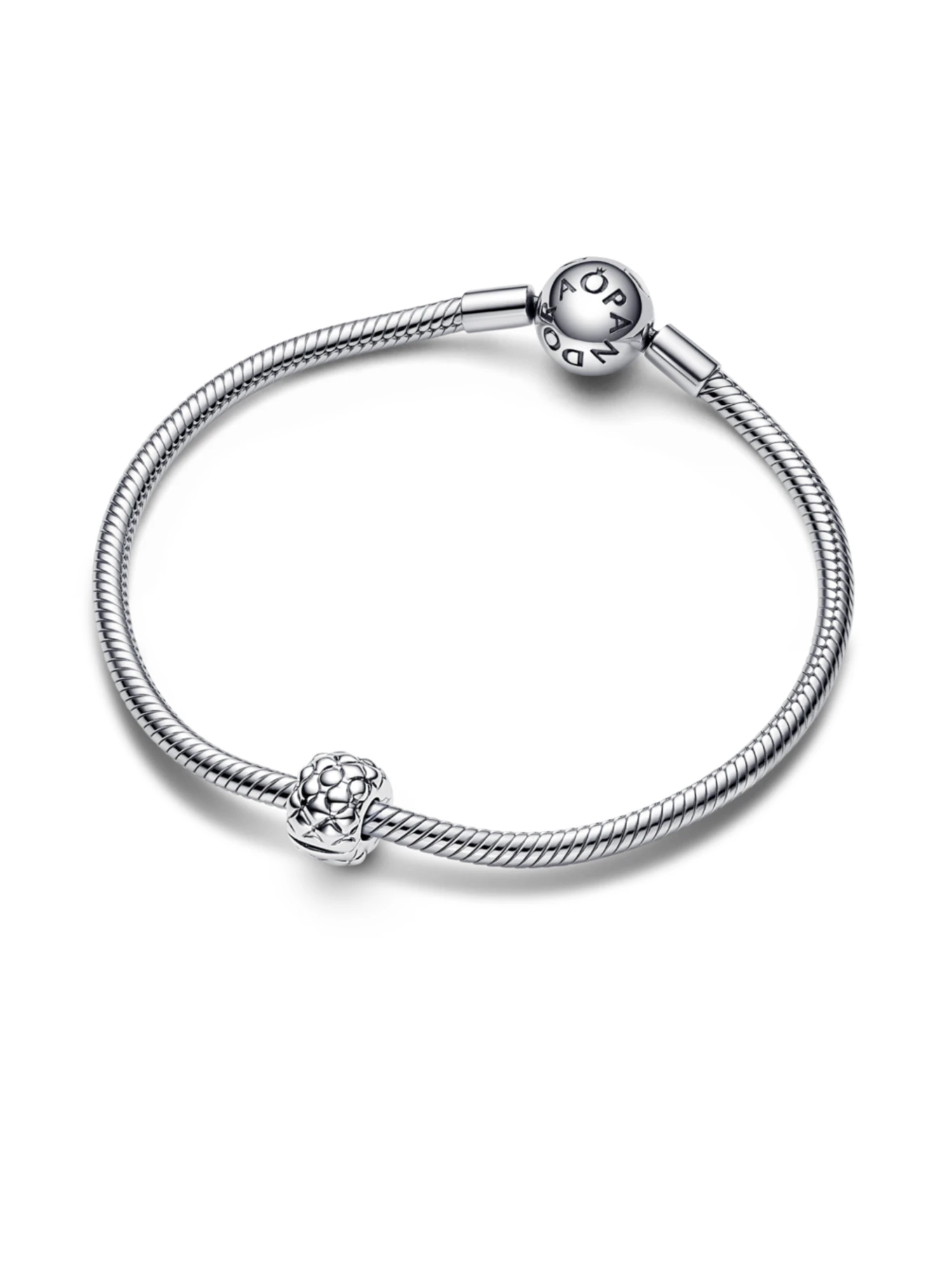 Классические PANDORA Moments модель 792746C00 Фото