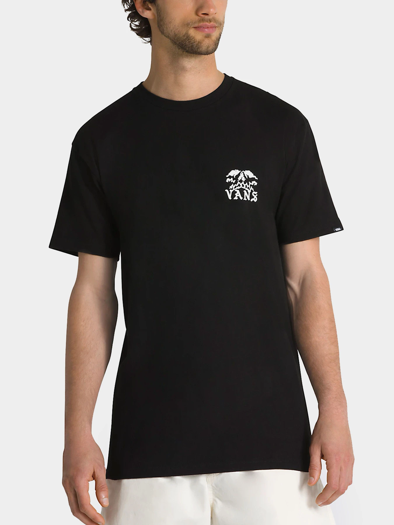 Футболки и поло Vans модель VN0008SHBLK1 Фото