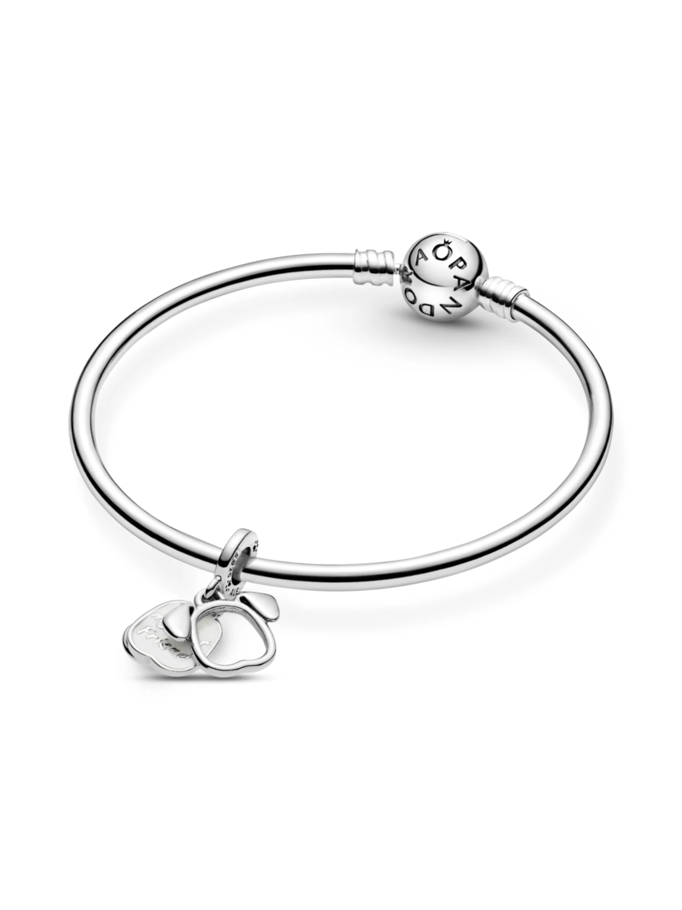 Классические PANDORA Moments модель 799327C01 Классические PANDORA Moments модель 799327C01 Фото
