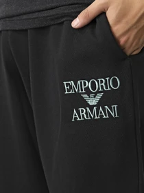 Брюки Emporio Armani модель 111873-3F571-00020 Фото