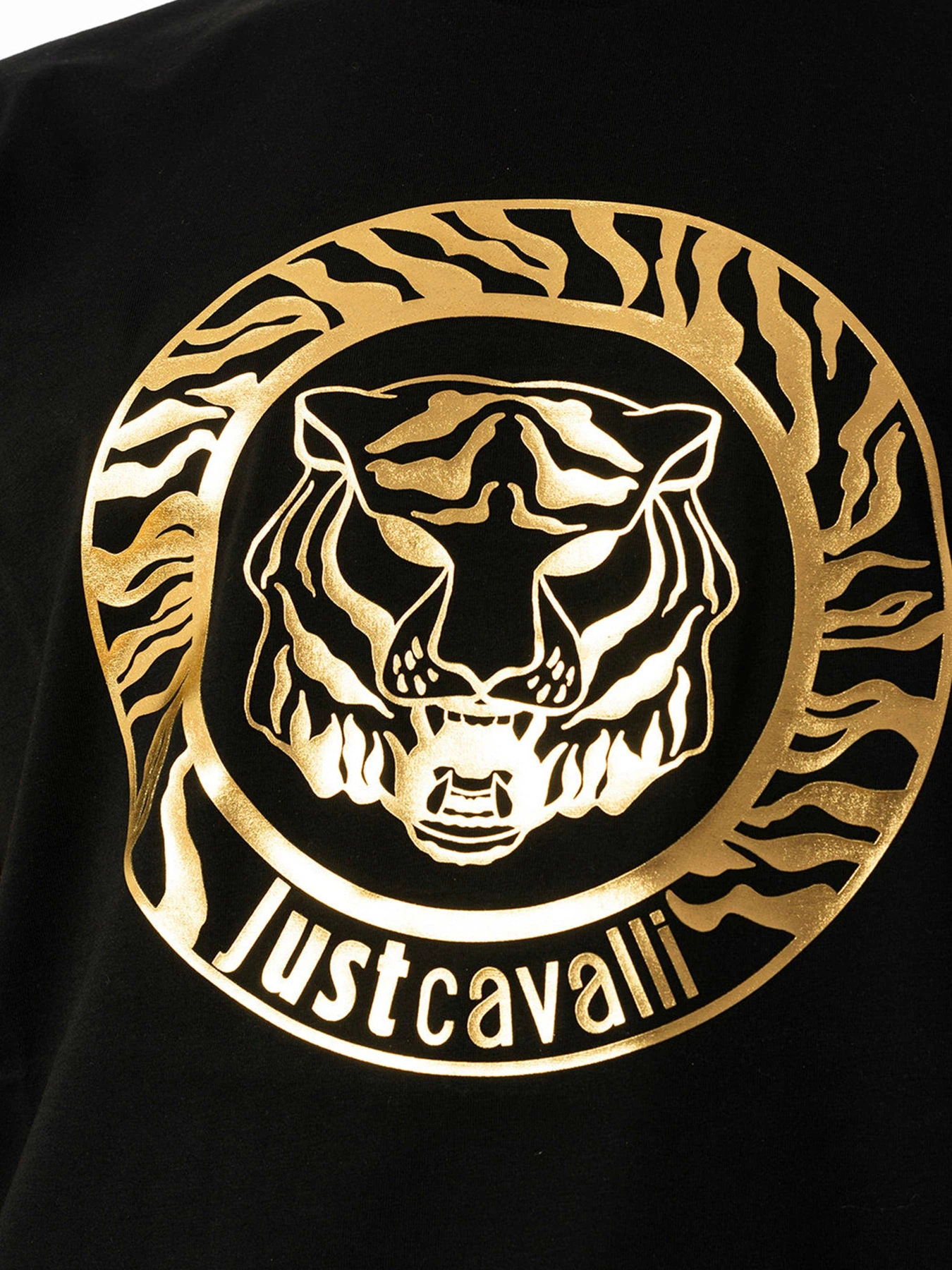 Футболки и поло Just Cavalli модель 74OBHF02-CJ200-G89 Футболки и поло Just Cavalli модель 74OBHF02-CJ200-G89 Фото