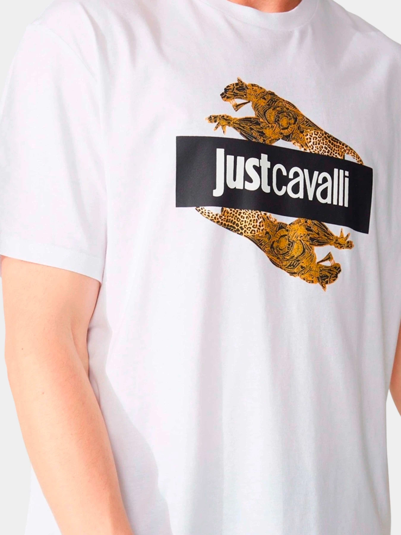 Футболки и поло Just Cavalli модель 74OBHF07-CJ200-G03 Футболки и поло Just Cavalli модель 74OBHF07-CJ200-G03 Фото