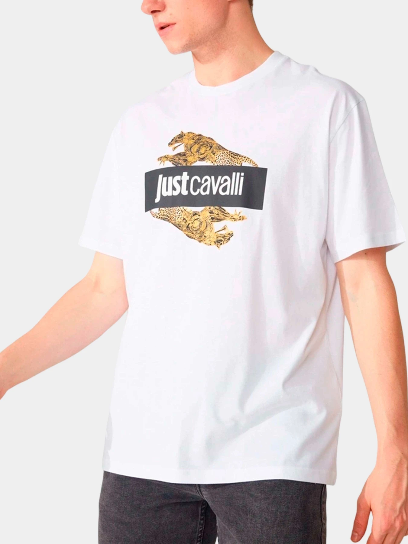 Футболки и поло Just Cavalli модель 74OBHF07-CJ200-G03 Футболки и поло Just Cavalli модель 74OBHF07-CJ200-G03 Фото
