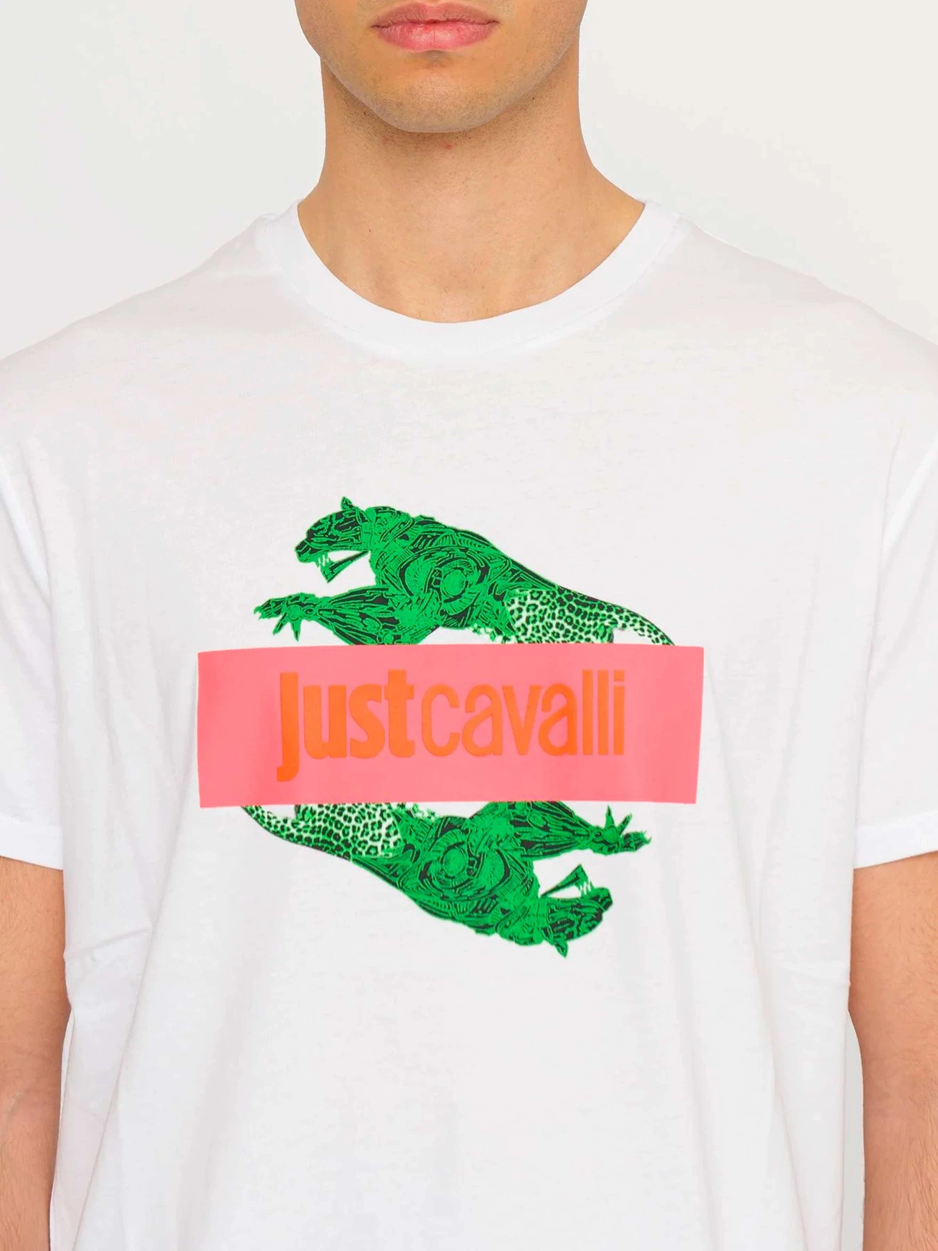 Футболки и поло Just Cavalli модель 74OBHF08-CJ200-003 Футболки и поло Just Cavalli модель 74OBHF08-CJ200-003 Фото