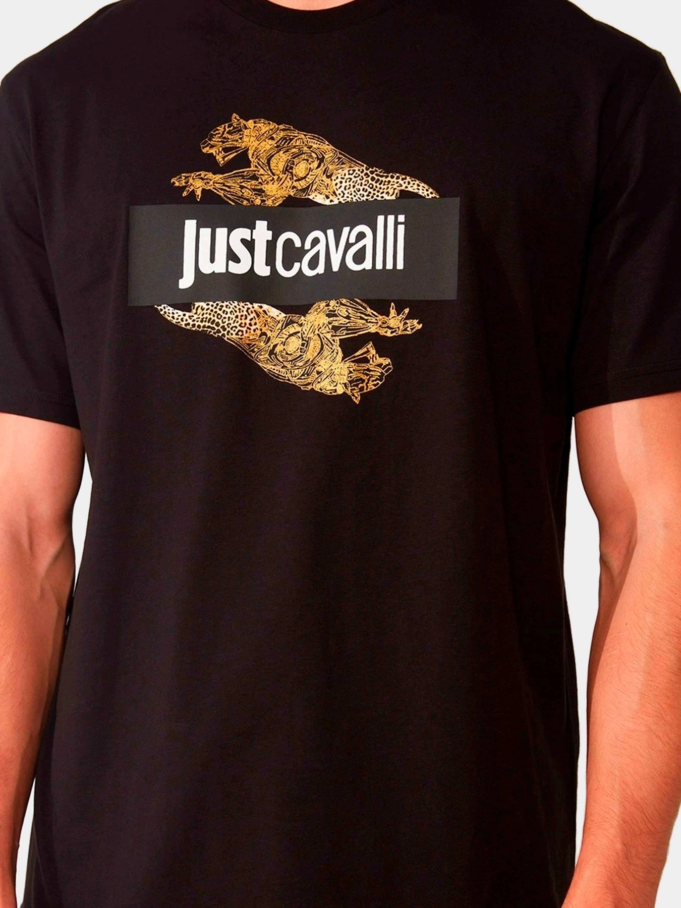 Футболки и поло Just Cavalli модель 74OBHF07-CJ200-G89 Футболки и поло Just Cavalli модель 74OBHF07-CJ200-G89 Фото