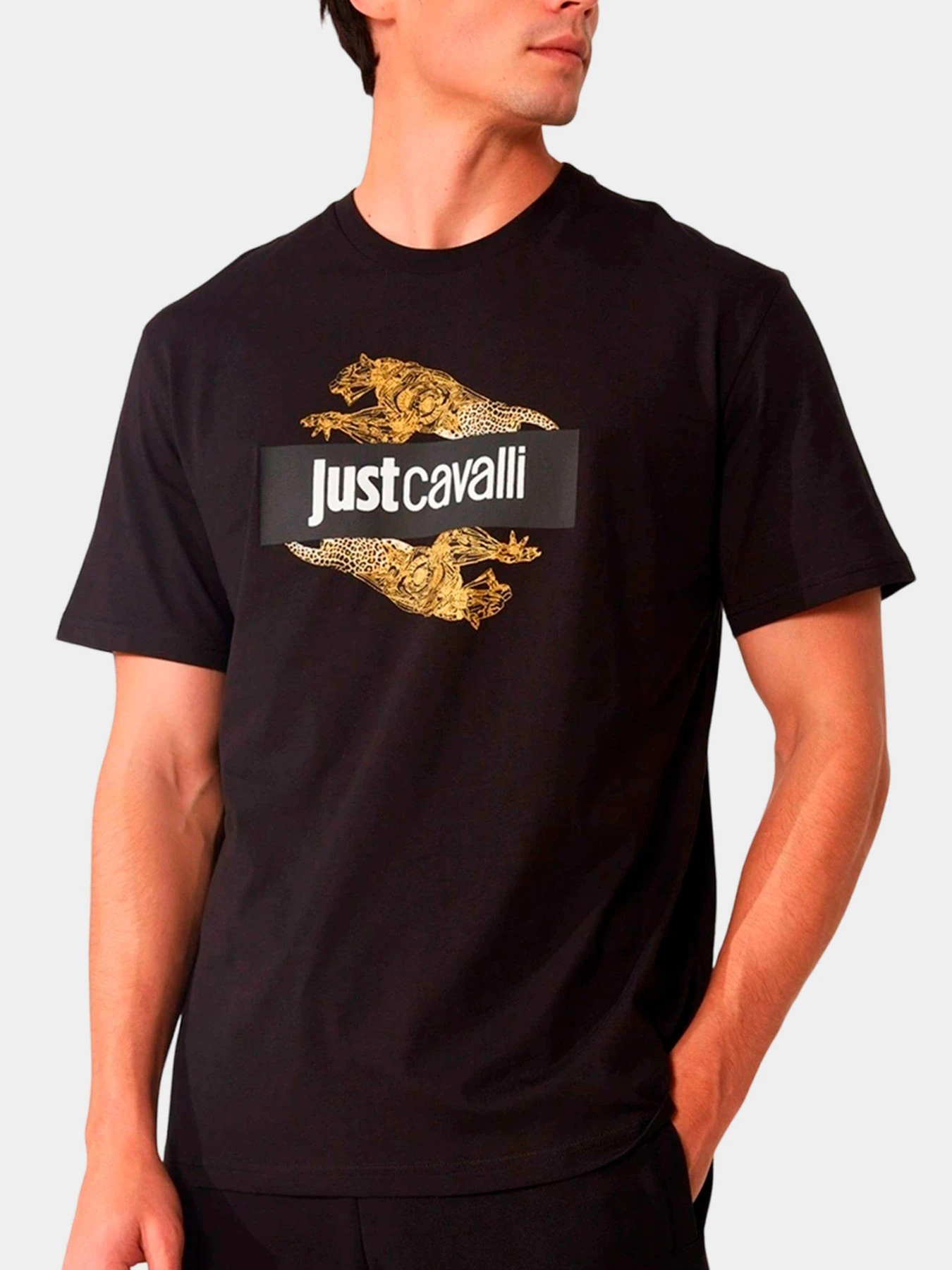 Футболки и поло Just Cavalli модель 74OBHF07-CJ200-G89 Футболки и поло Just Cavalli модель 74OBHF07-CJ200-G89 Фото