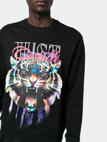 Худи и свитшоты Just Cavalli модель 74OBIF11-CF200-899 Фото