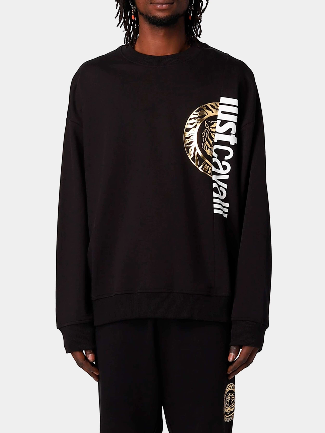 Худи и свитшоты Just Cavalli модель 74OBIF05-CF200-G89 Худи и свитшоты Just Cavalli модель 74OBIF05-CF200-G89 Фото
