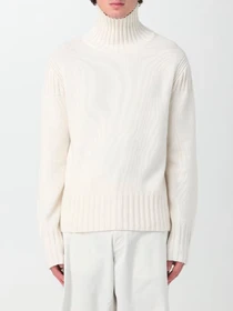 Худи и свитшоты Emporio Armani модель 8N1MVC-1M82Z-0101 Фото