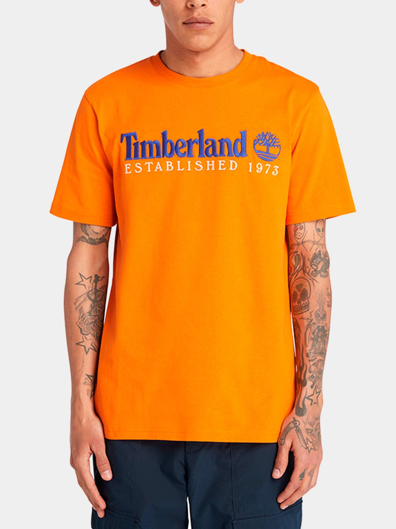 Футболки и поло Timberland модель TB0A6SE1ED1 Футболки и поло Timberland модель TB0A6SE1ED1 Фото