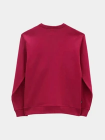 Худи и свитшоты Vans модель VN0A5KDT14A1 Фото