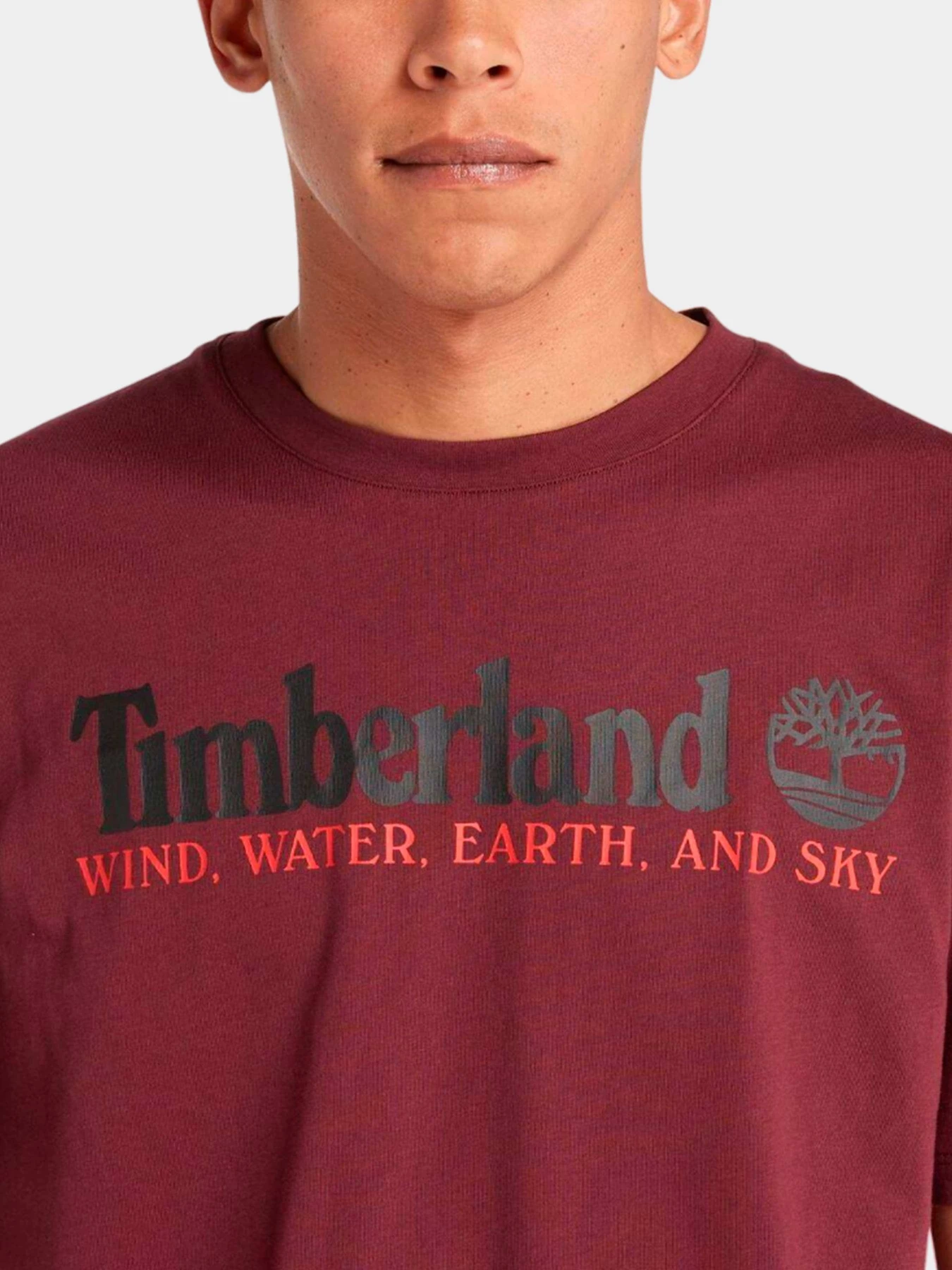 Футболки и поло Timberland модель TB0A27J8I30 Футболки и поло Timberland модель TB0A27J8I30 Фото
