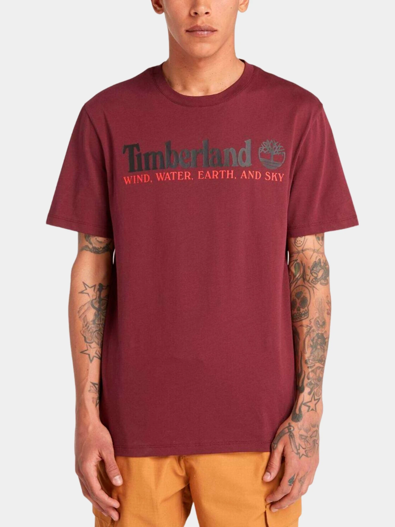 Футболки и поло Timberland модель TB0A27J8I30 Футболки и поло Timberland модель TB0A27J8I30 Фото