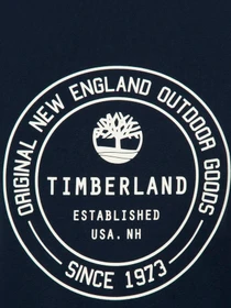 Футболки и поло Timberland модель TB0A6GF5433 Фото