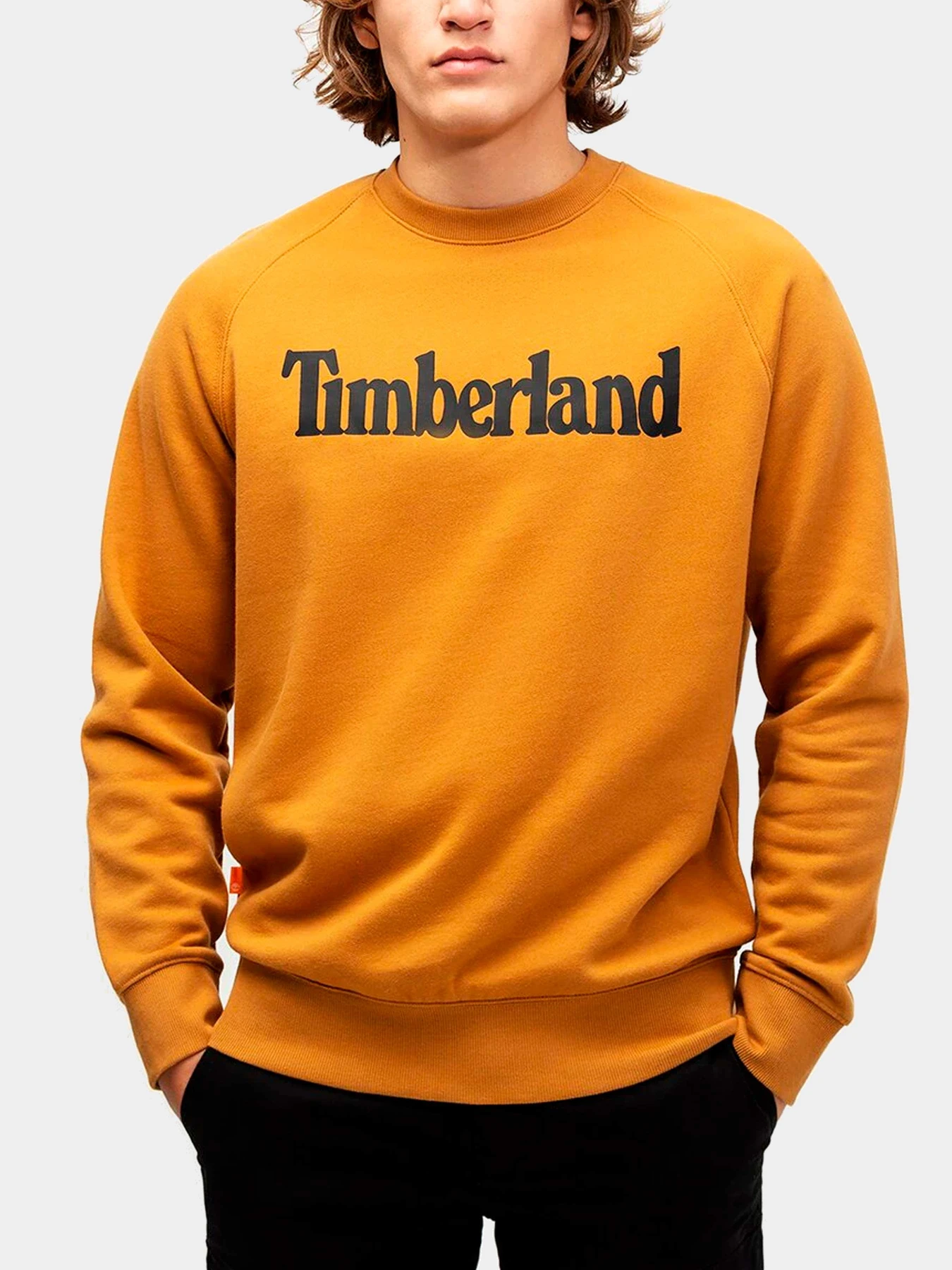 Худи и свитшоты Timberland модель TB0A2C6HP47 Худи и свитшоты Timberland модель TB0A2C6HP47 Фото