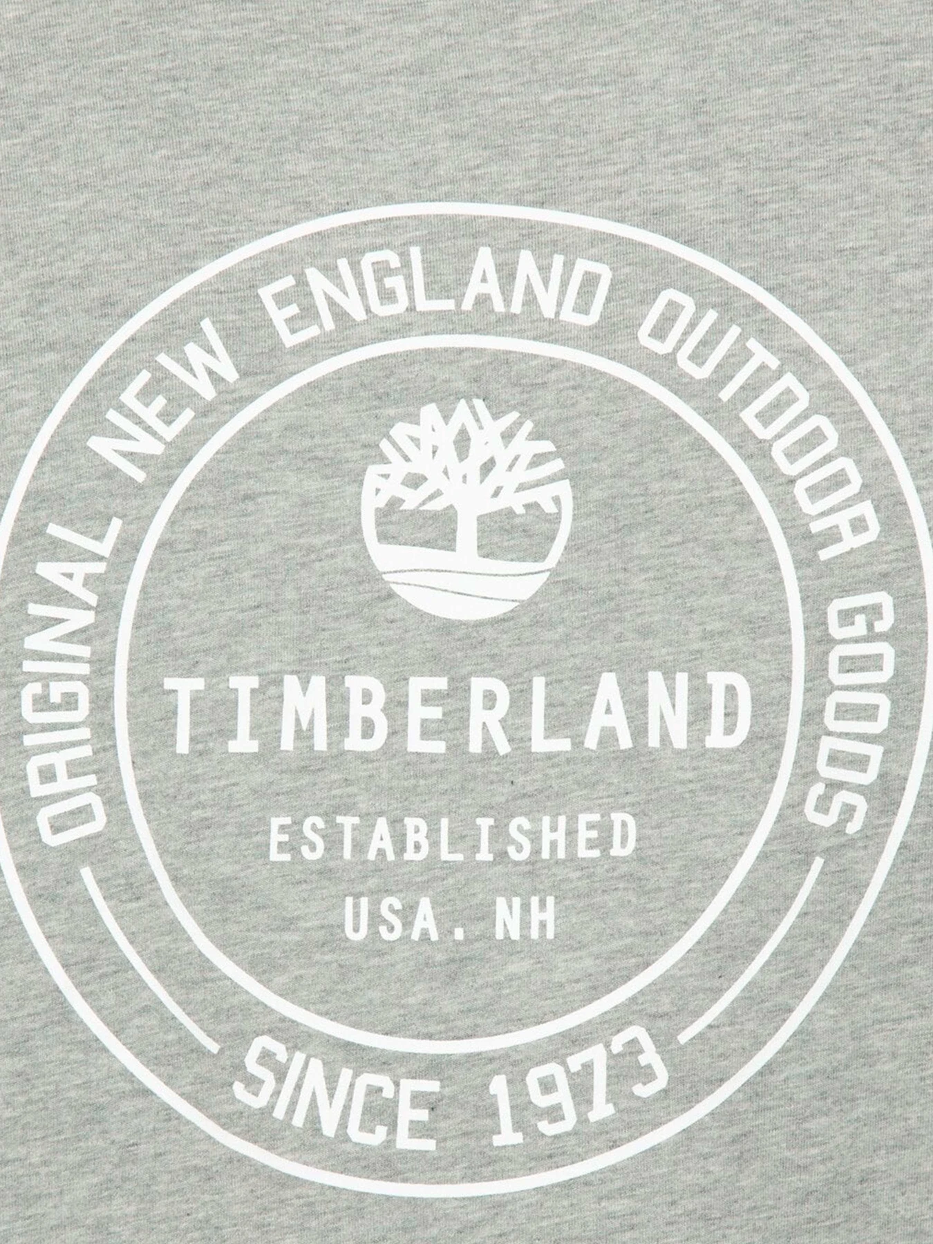 Футболки и поло Timberland модель TB0A6GF5052 Футболки и поло Timberland модель TB0A6GF5052 Фото