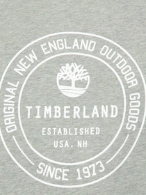 Футболки и поло Timberland модель TB0A6GF5052 Фото