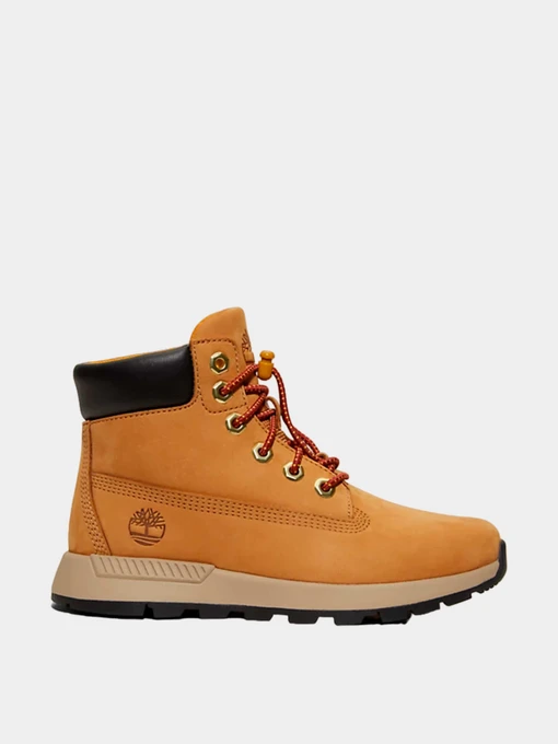 Ботинки и сапоги Timberland модель TB0A61K5231 Фото