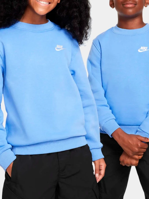Худи и свитшоты NIKE модель FD3006-450 Фото
