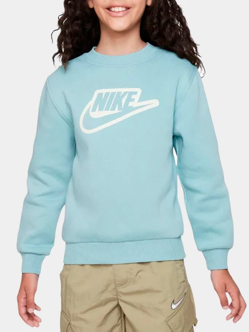 Худи и свитшоты NIKE модель FD3182-309 Фото