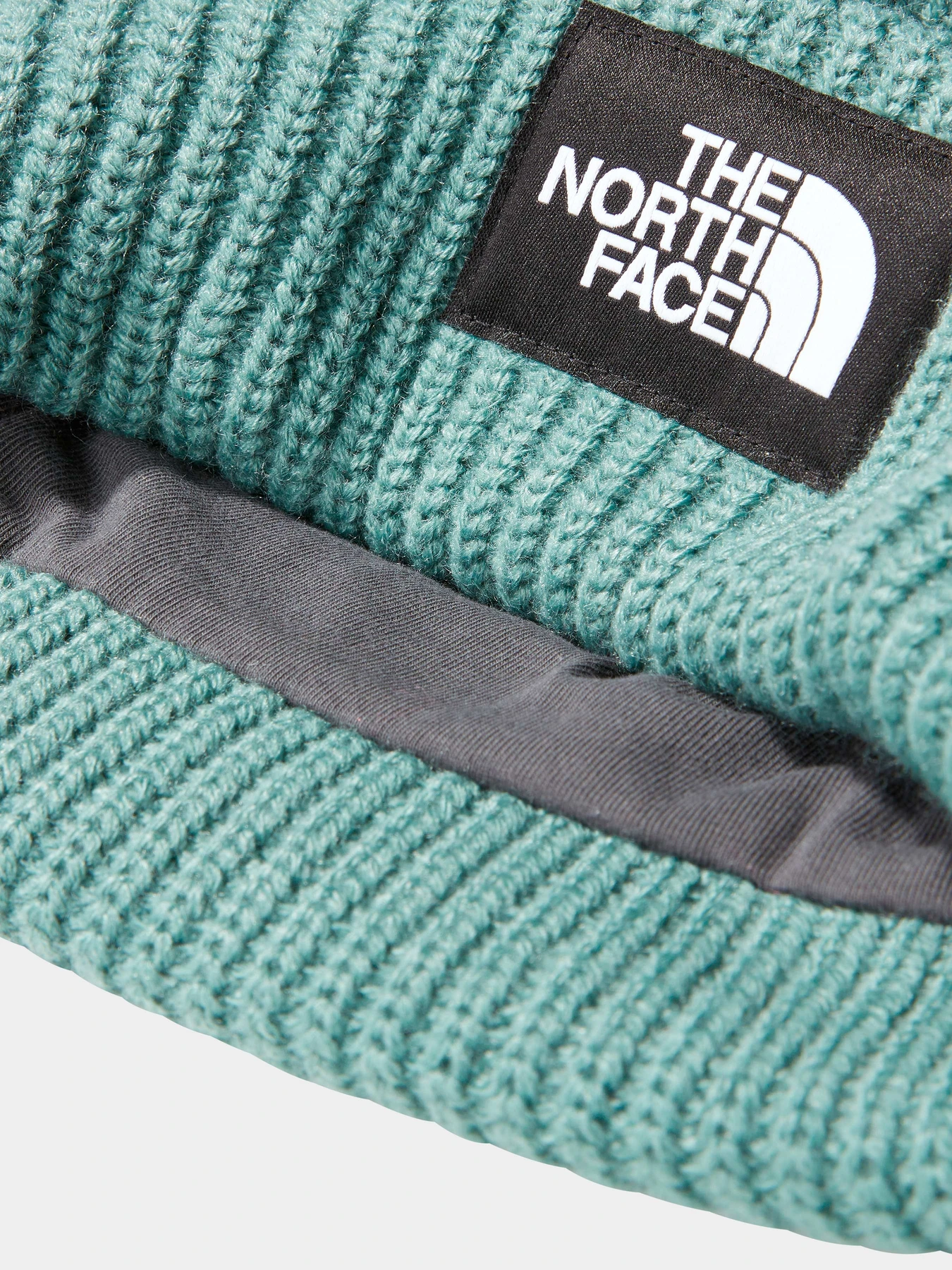 Шапки и кепки The North Face модель NF0A3FJWI0F1 Шапки и кепки The North Face модель NF0A3FJWI0F1 Фото