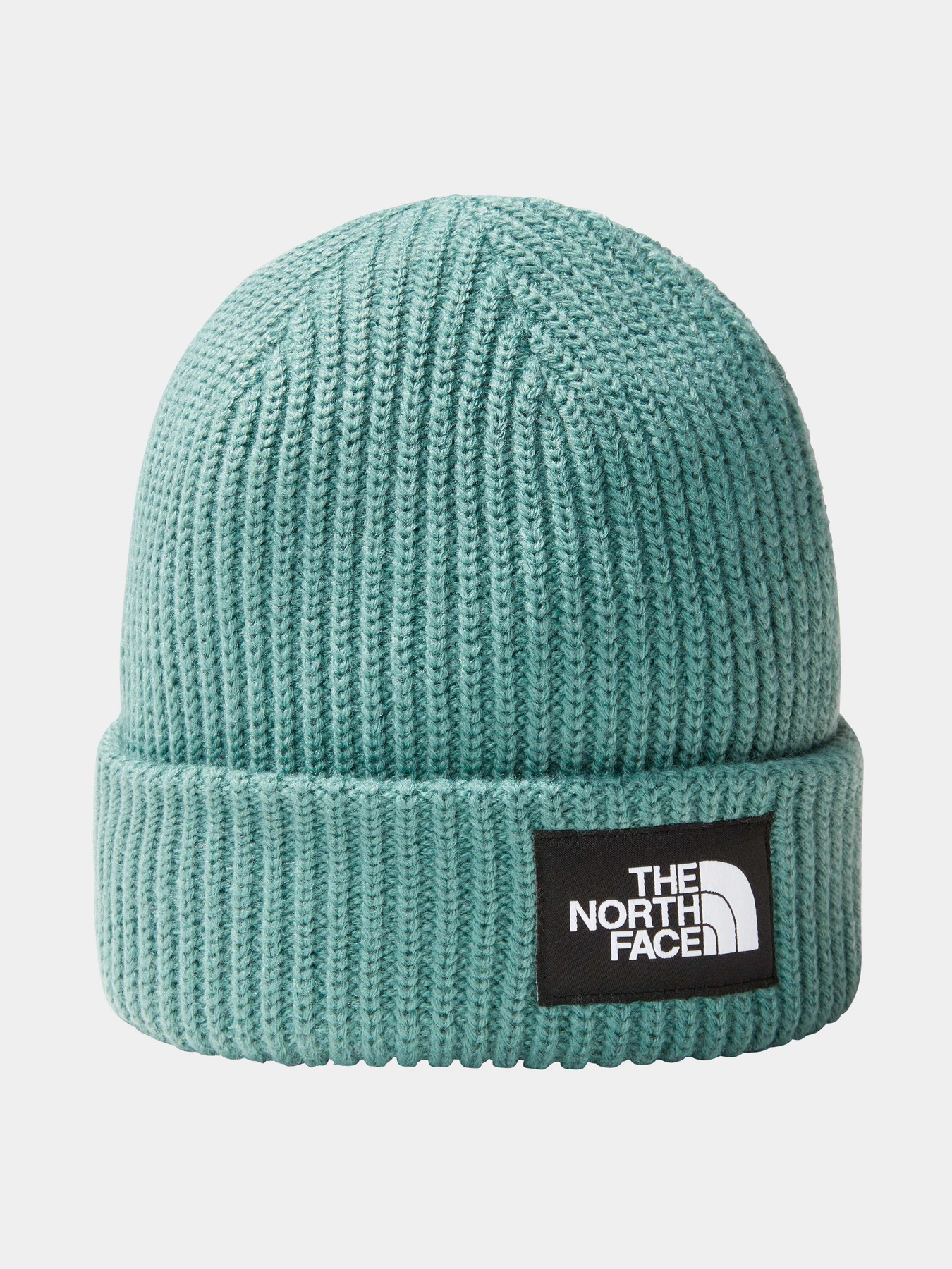 Шапки и кепки The North Face модель NF0A3FJWI0F1 Шапки и кепки The North Face модель NF0A3FJWI0F1 Фото