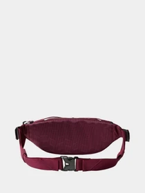 Сумки The North Face модель NF0A3S7ZI0H1 Фото