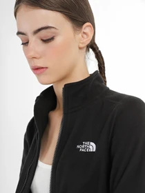 Худи и свитшоты The North Face модель NF0A855OJK31 Фото