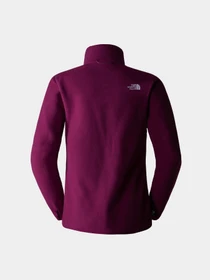 Худи и свитшоты The North Face модель NF0A855OI0H1 Фото