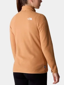 Худи и свитшоты The North Face модель NF0A855OI0J1 Фото