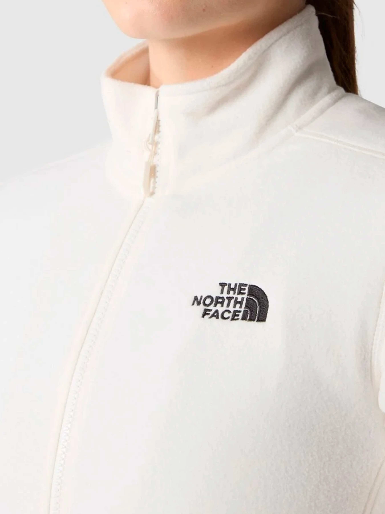 Худи и свитшоты The North Face модель NF0A855ON3N1 Худи и свитшоты The North Face модель NF0A855ON3N1 Фото