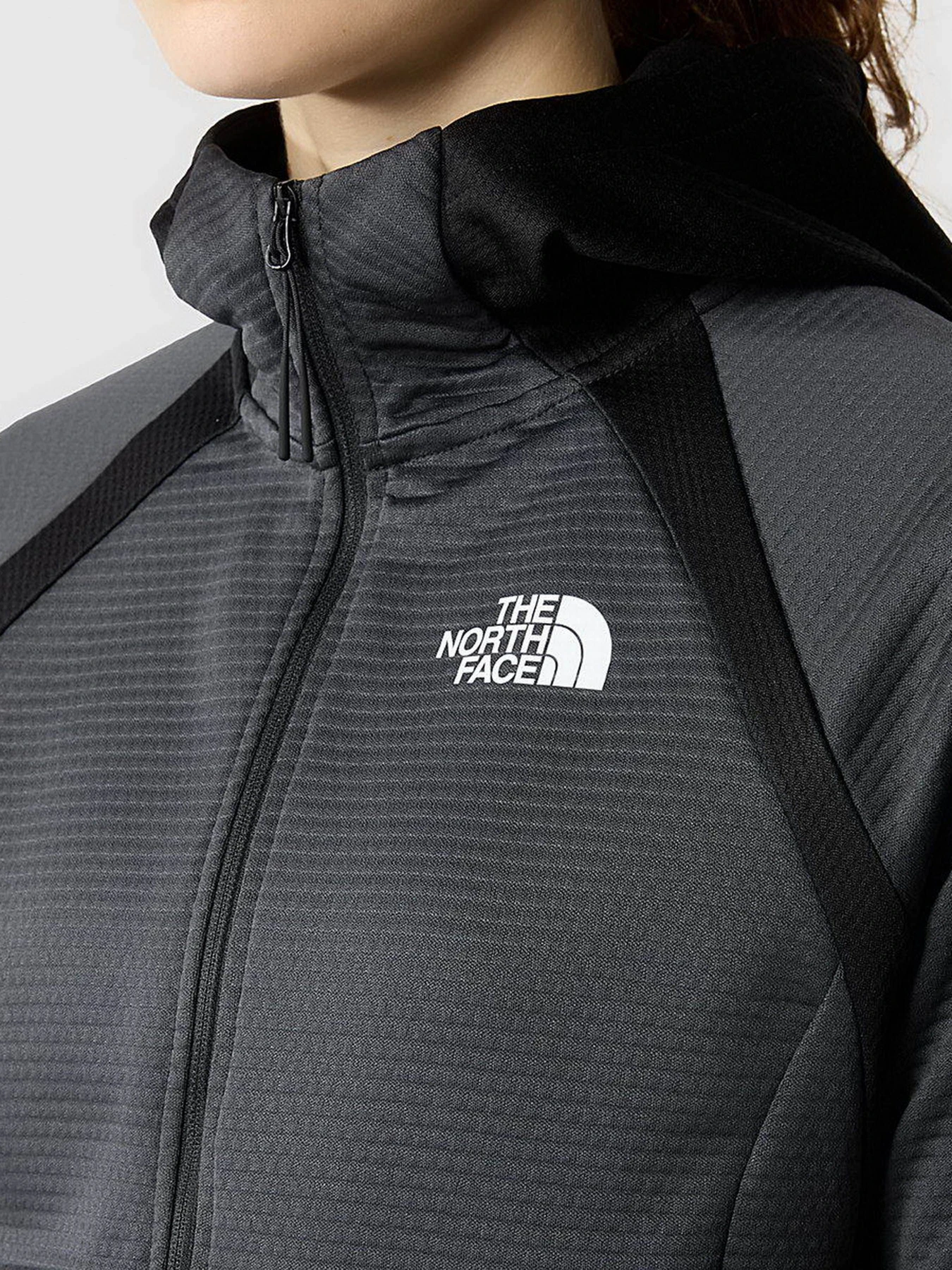 Худи и свитшоты The North Face модель NF0A856CMN81 Худи и свитшоты The North Face модель NF0A856CMN81 Фото