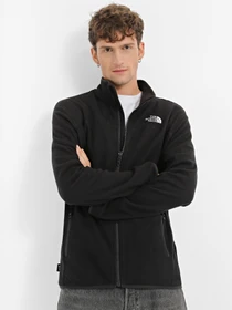 Худи и свитшоты The North Face модель NF0A855XJK31 Фото