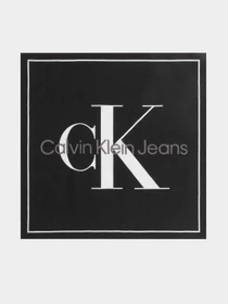 Шарфы и платки Calvin Klein модель K60K610915-BDS Фото