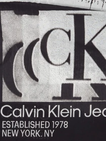 Шарфы и платки Calvin Klein модель K60K610912-BDS Фото