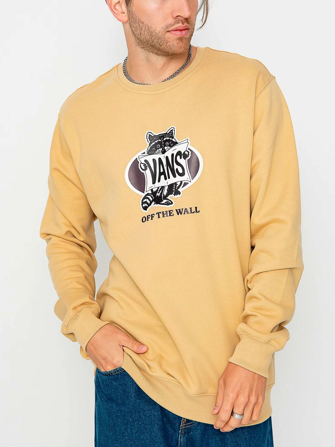 Худи и свитшоты Vans модель VN0008HVYUU1 Худи и свитшоты Vans модель VN0008HVYUU1 Фото