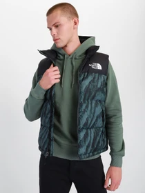 Куртки и дубленки The North Face модель NF0A5IX529L1 Фото